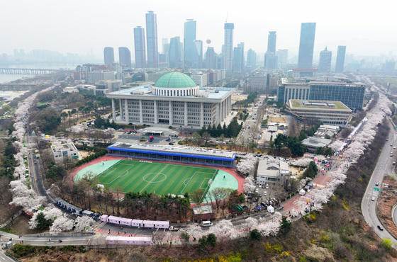 화려하게 피어난 여의도 봄꽃축제