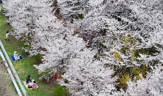 [오늘의 날씨] 경기(5일, 일)…북서부 늦은 오후 비