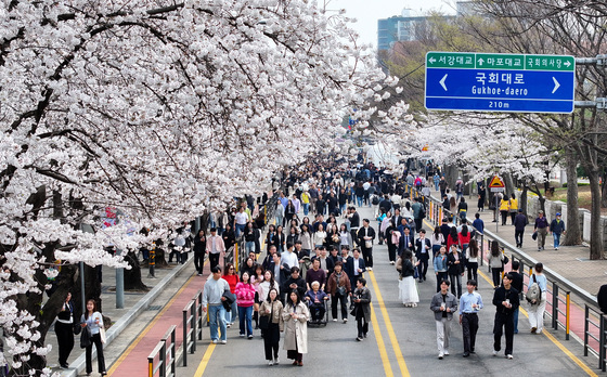 300만 몰리는 여의도 봄꽃축제…행안부, 안전관리 총력