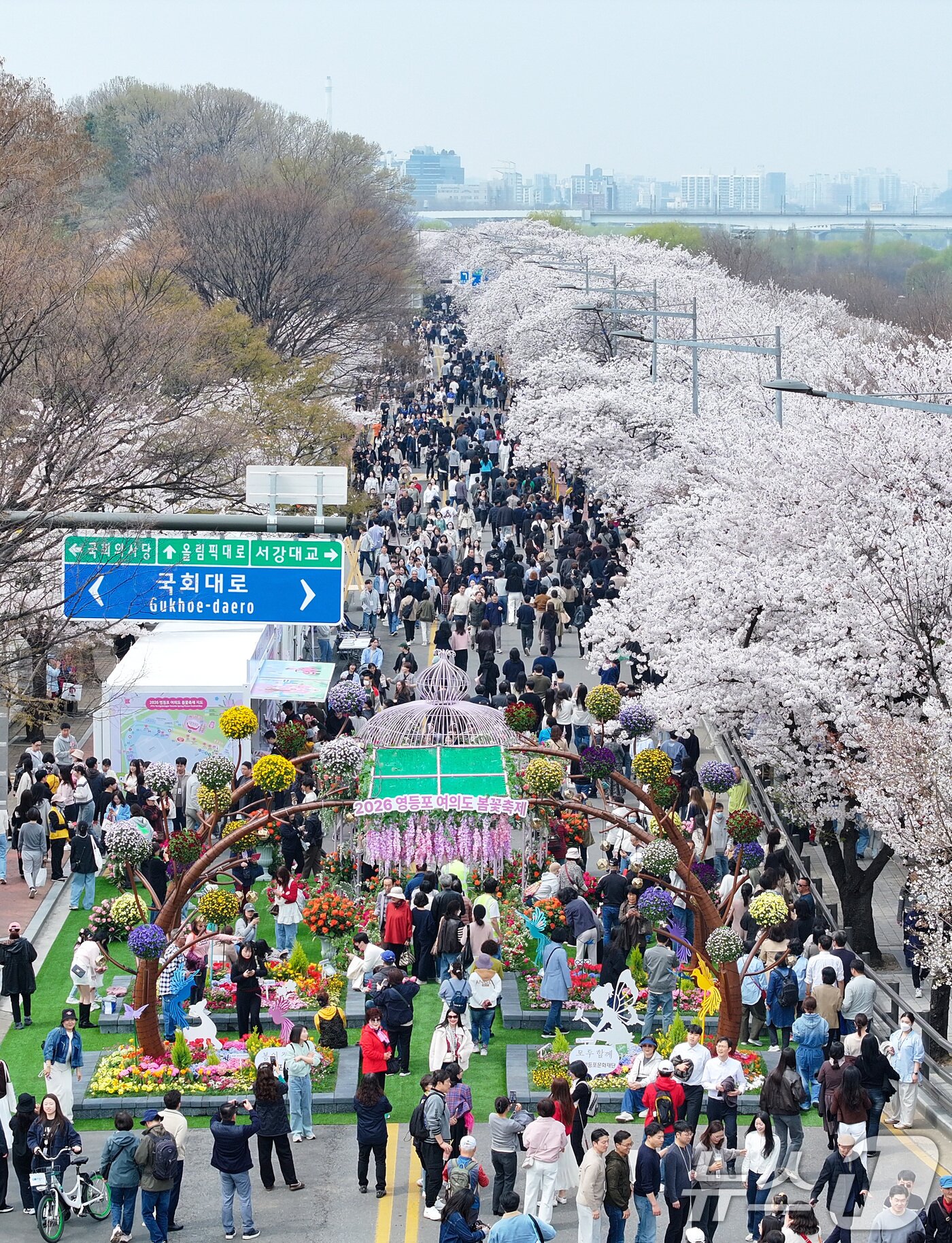 본문 이미지 - '여의도 봄꽃축제'가 시작된 3일 서울 여의서로 일대에 벚꽃이 만개해 있다.  2026.4.3 ⓒ 뉴스1 최지환 기자