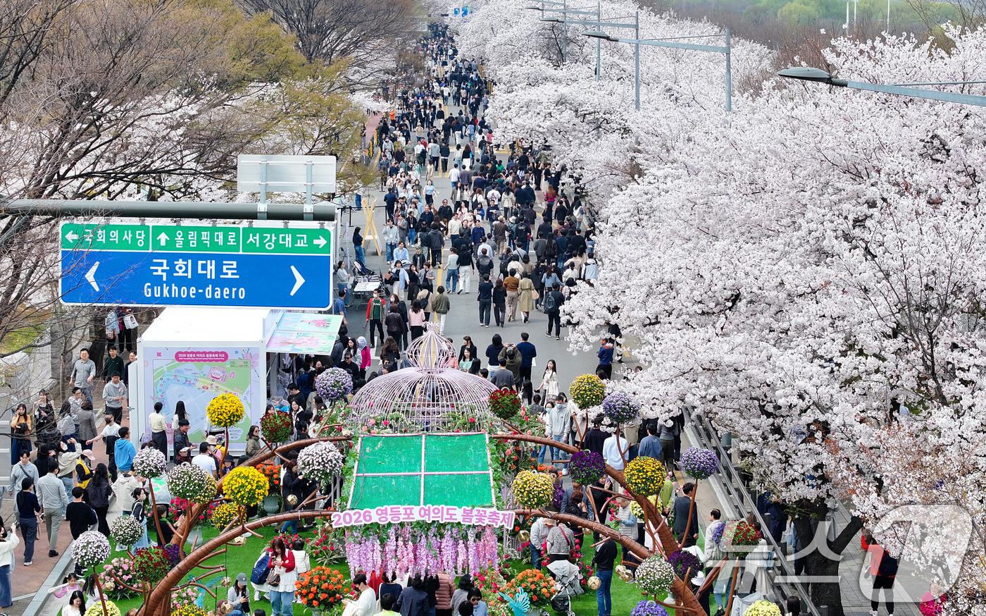(서울=뉴스1) 최지환 기자 = '여의도 봄꽃축제'가 열린 3일 서울 여의서로 일대에 벚꽃이 만개해 있다.2026년 여의도 봄꽃축제는 이날부터 7일까지 5일간 개최된다. 2026. …
