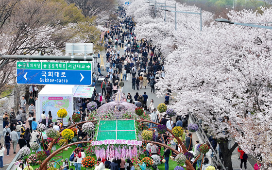 시민들로 북적이는 여의도 봄꽃축제