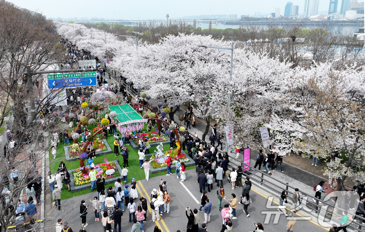 (서울=뉴스1) 최지환 기자 = '여의도 봄꽃축제'가 열린 3일 서울 여의서로 일대에 벚꽃이 만개해 있다.2026년 여의도 봄꽃축제는 이날부터 7일까지 5일간 개최된다. 2026. …