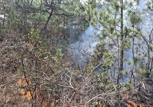 영암 야산 산불에 인근 중학교 학생 540여명 대피…1시간 만에 완진