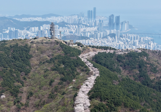 [오늘의 날씨] 부산·경남(6일, 월) 낮 동안 가끔 비…저녁부터 맑아져
