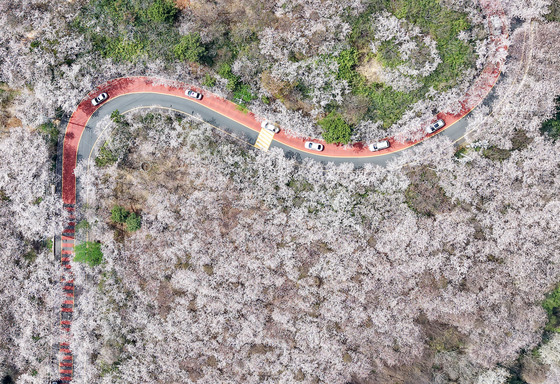 [오늘의 날씨] 부산·경남(5일, 일)…구름많고 경남내륙 일교차 15도