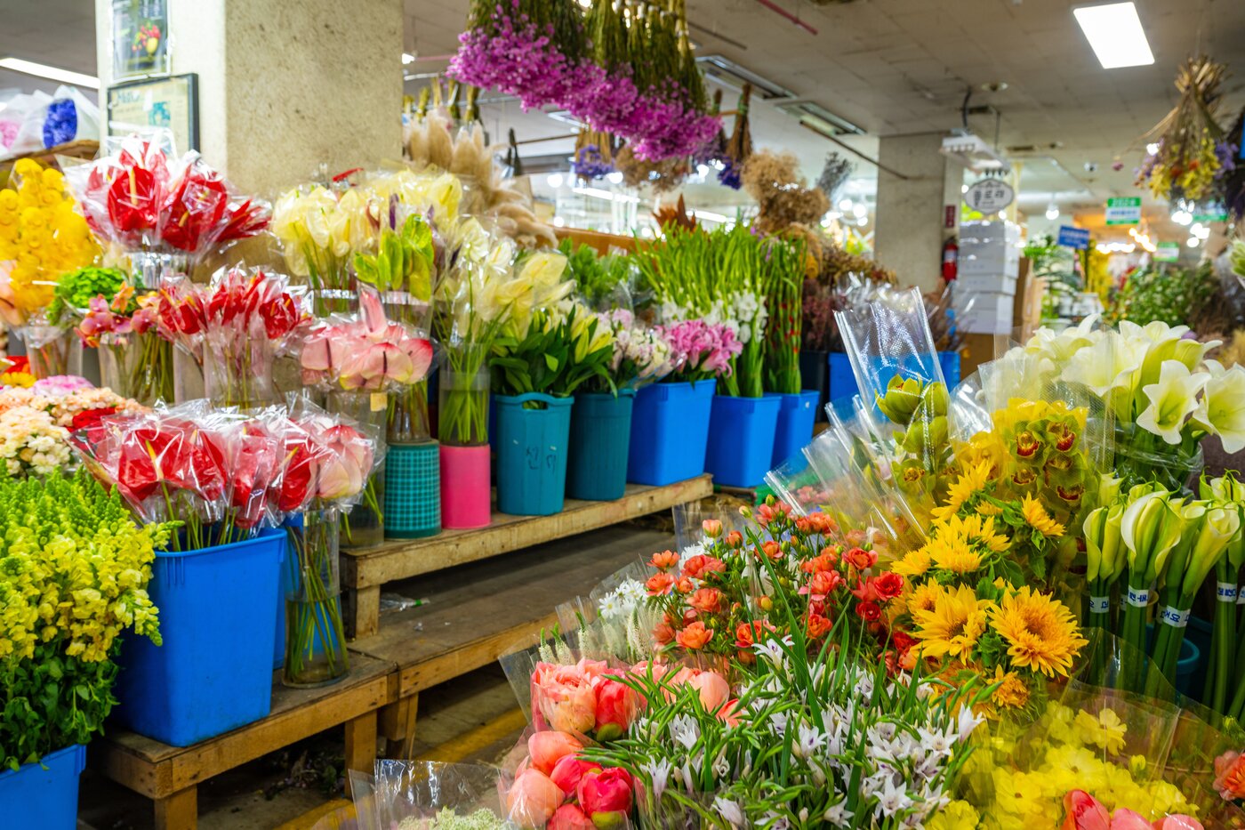 본문 이미지 - 양재꽃시장(서울관광재단 제공)