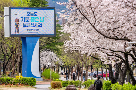 벚꽃과 함께 기분 좋은 날