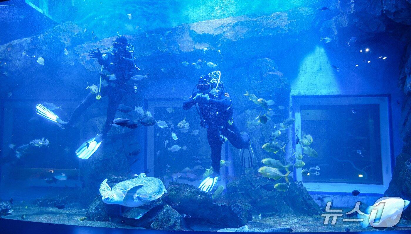 본문 이미지 - 도시에서 만나는 푸른 바다의 심장, 시흥 해양생태과학관.(경기관광공사 제공. 재판매 및 DB금지)/뉴스1