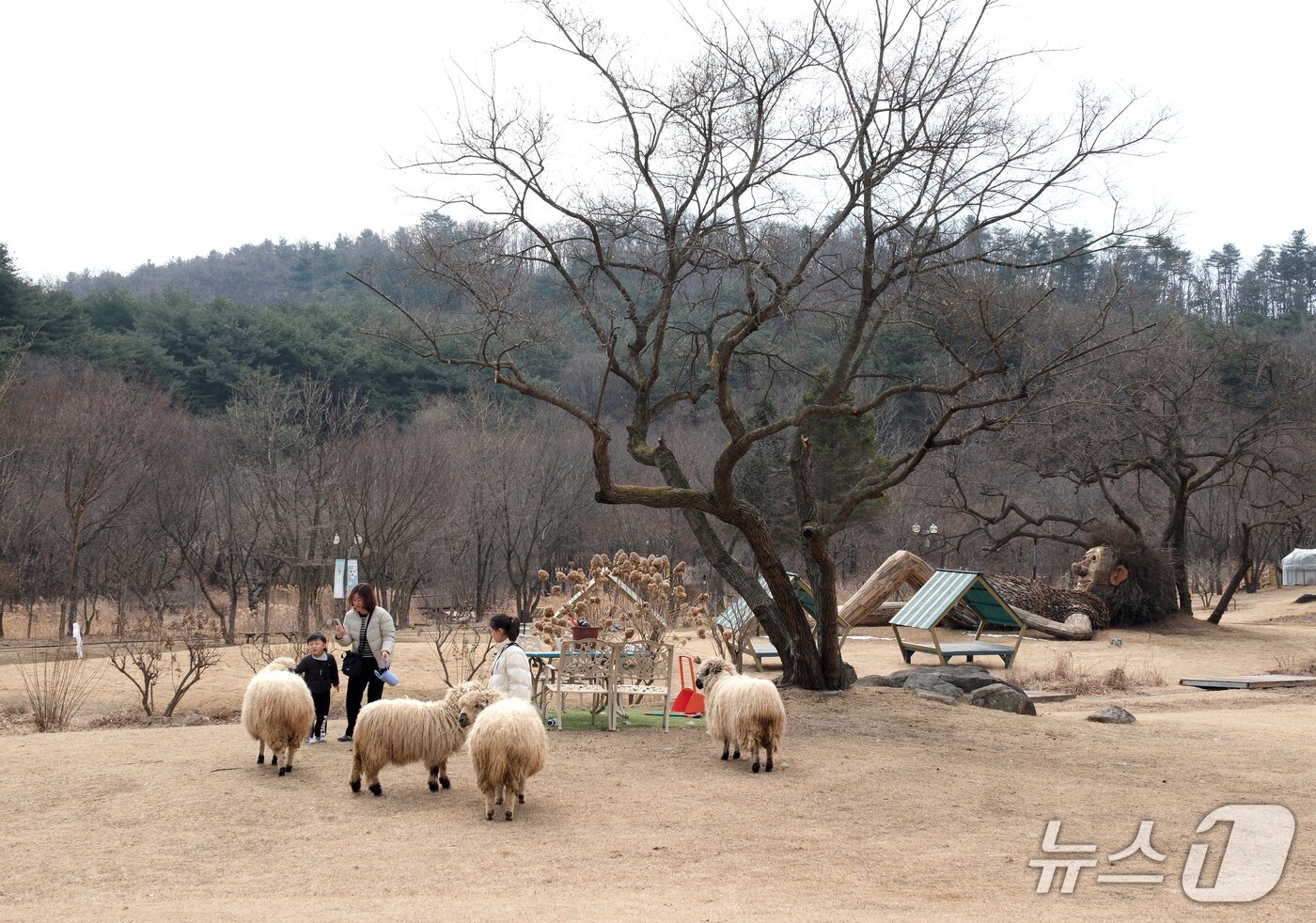 본문 이미지 - 숲속 동화가 현실이 되는 곳, 포천 애니멀스토리 in 평강랜드.(경기관광공사 제공. 재판매 및 DB금지)/뉴스1