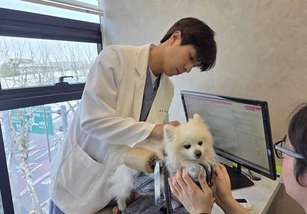 "수의계 공유라 불린다"…통합의학으로 치료를 '디자인'하는 수의사