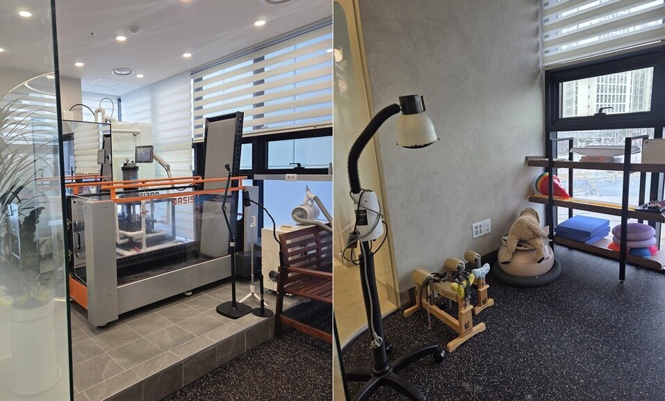 본문 이미지 - 경인동물의료센터 내 재활실. 지난해 이전하면서 한방재활 영역까지 확장했다. ⓒ 뉴스1 한송아 기자