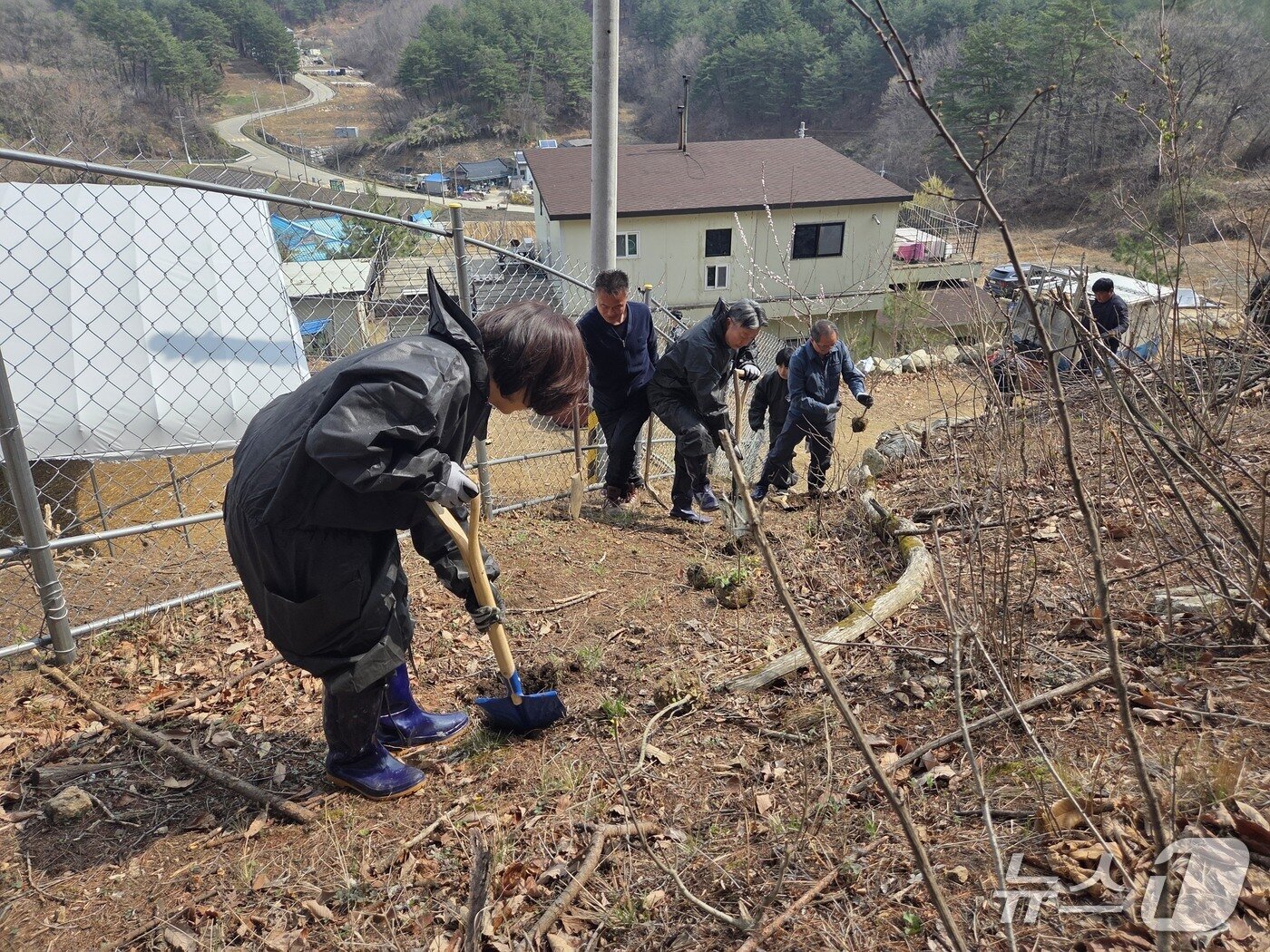 본문 이미지 - '축산환경 소독의 날' 행사.(농협 강원본부 제공. 재판매 및 DB금지)/뉴스1