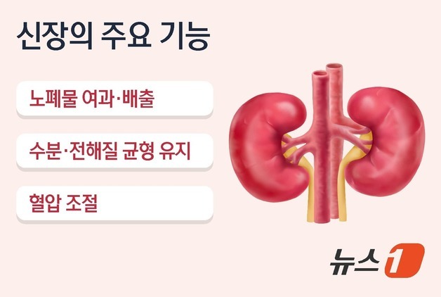 [100세건강] "붓고 피곤하다면"…'콩팥병' 환자 10년새 2배 늘었다