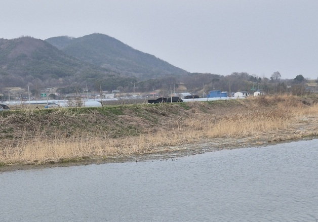 청양서 승용차 도로변 하천에 빠져…70대 운전자 심정지