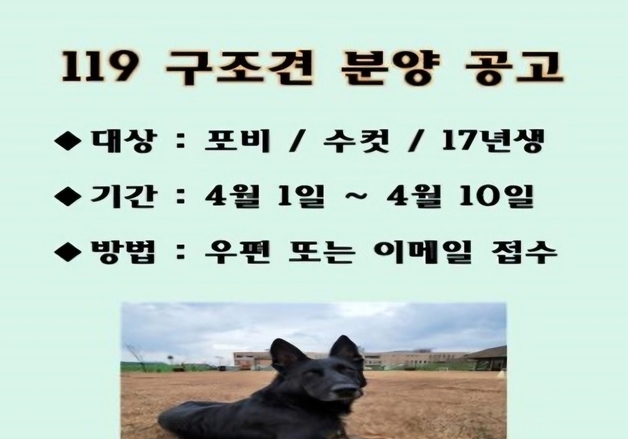 재난 현장 148차례 투입 119구조견 포비…'견생 2막' 가족 찾아요