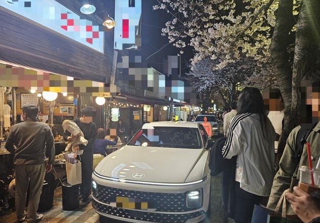 '벚꽃 야장' 떠오른 성북천…차도는 아수라장, 인도는 쓰레기장