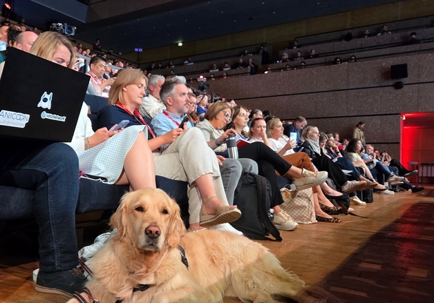 "반려동물 건강한 노화, 중년부터 관리"…로얄캐닌, 벳 심포지엄