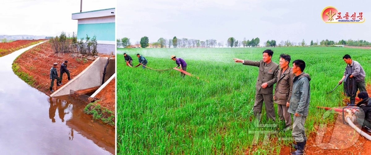 (평양 노동신문=뉴스1) = 북한 노동당 기관지 노동신문은 30일 봉산군농업경영위원회가 가뭄 대응 작업을 이어가고 있다고 보도했다. [국내에서만 사용가능. 재배포 금지. DB 금지 …