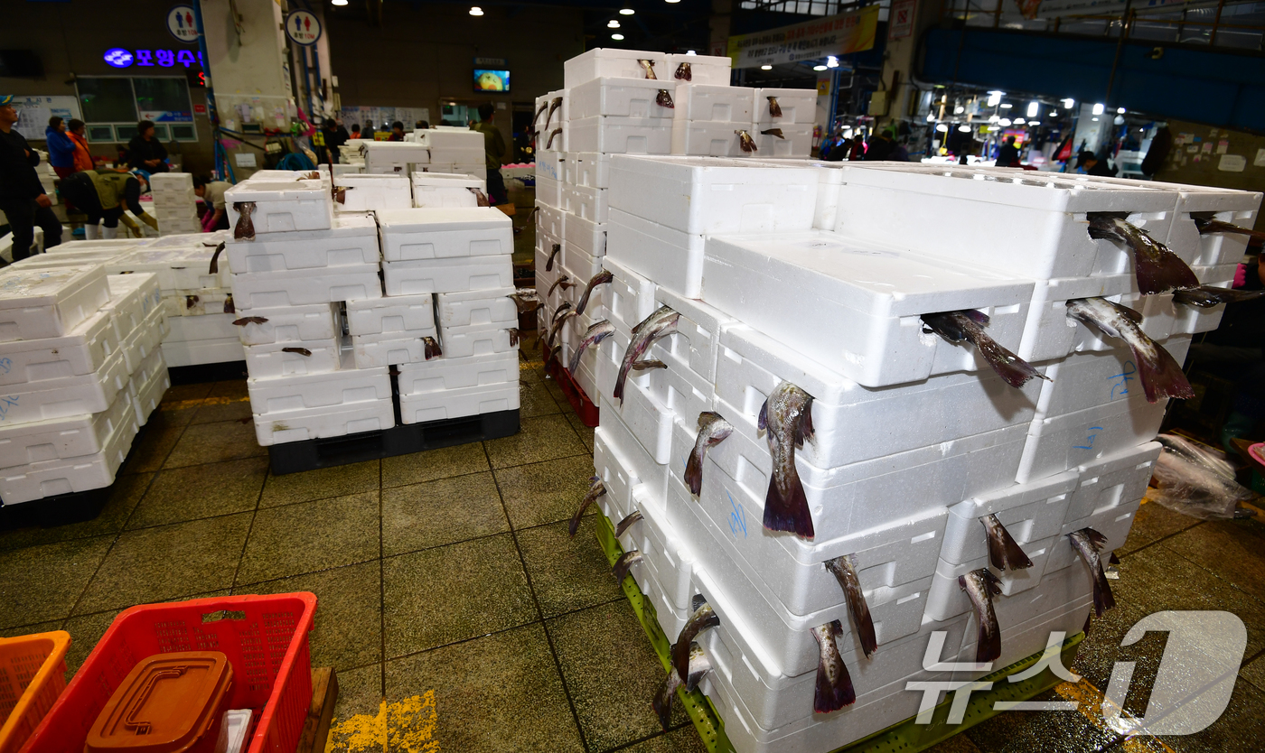 (포항=뉴스1) 최창호 기자 = 여름이 시작된다는 입하(立夏)를 앞둔 30일 경북 포항죽도어시장 위판장에 겨울철 대표 생선인 대구를 담은 포장 용기가 가득쌓여 있다.어민과 상인들은 …