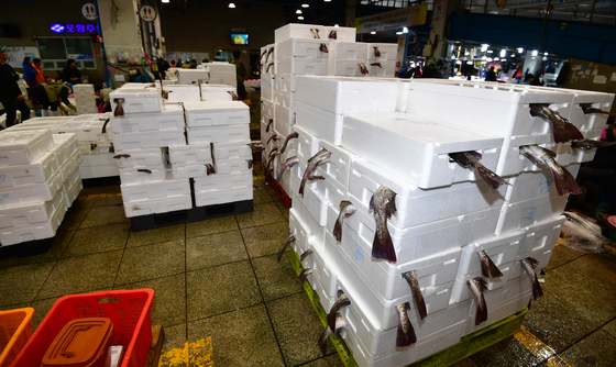 "여름 코앞인데 겨울생선 대구가 계속 잡혀"…포항 어시장에 수북