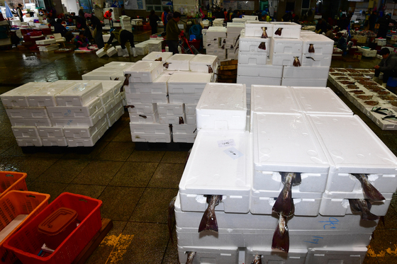 겨울 생선 대구가 아직까지 잡혀요