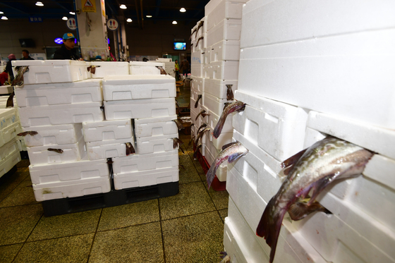 여름 앞두고 잡히는 '대구'