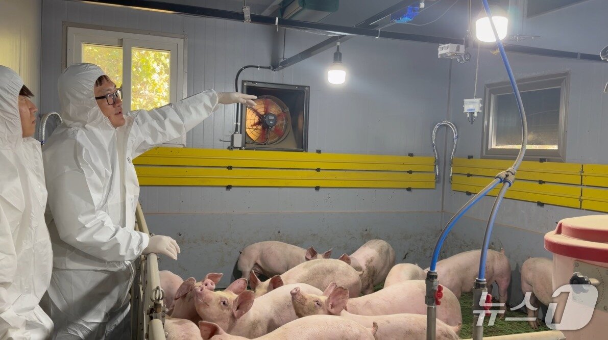 본문 이미지 - 사전 연구 사례인 공주대학교 스마트 축산 테스트베드 돼지 사육 환경 사진. (ETRI 제공, 재판매 및 DB 금지) 2026.4.30/뉴스1