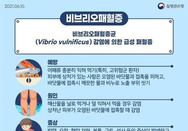 인천 연안서 비브리오패혈증균 올해 첫 검출…"해산물 섭취 주의"