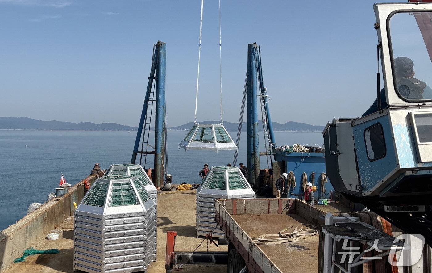본문 이미지 - 꽃게 산란·서식장 조성사업을 위해 인공시설물을 바다에 설치하고 있다.(태안군 제공. 재판매 및 DB금지)2026.4.30/뉴스1