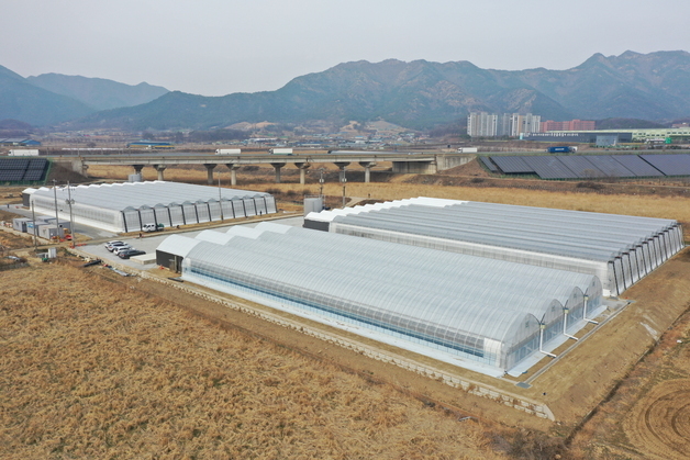 보은군 임대형 스마트팜 2차 임차인 모집…내달 8일까지