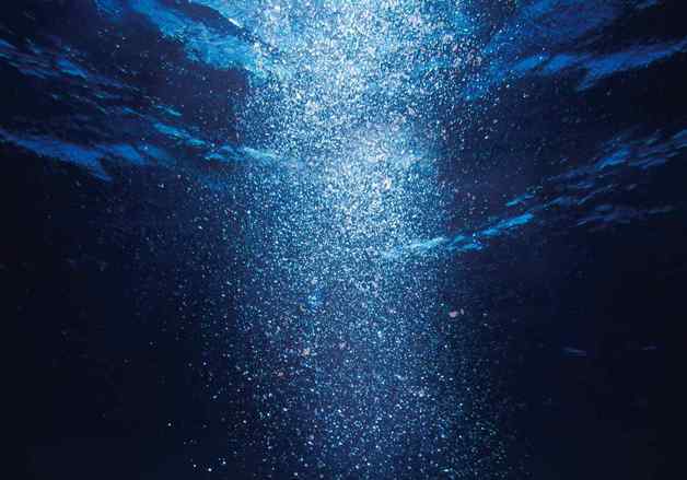 베스트셀러 작가 정유정 소설 원작…뮤지컬 '종의 기원' 6월 귀환