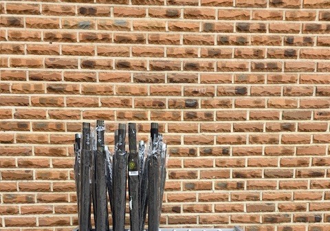 “우산 빌리고 물건도 맡기세요”…용인시 공원 4곳서 생활 서비스