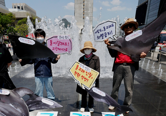 '고래야 바다로 돌아와'