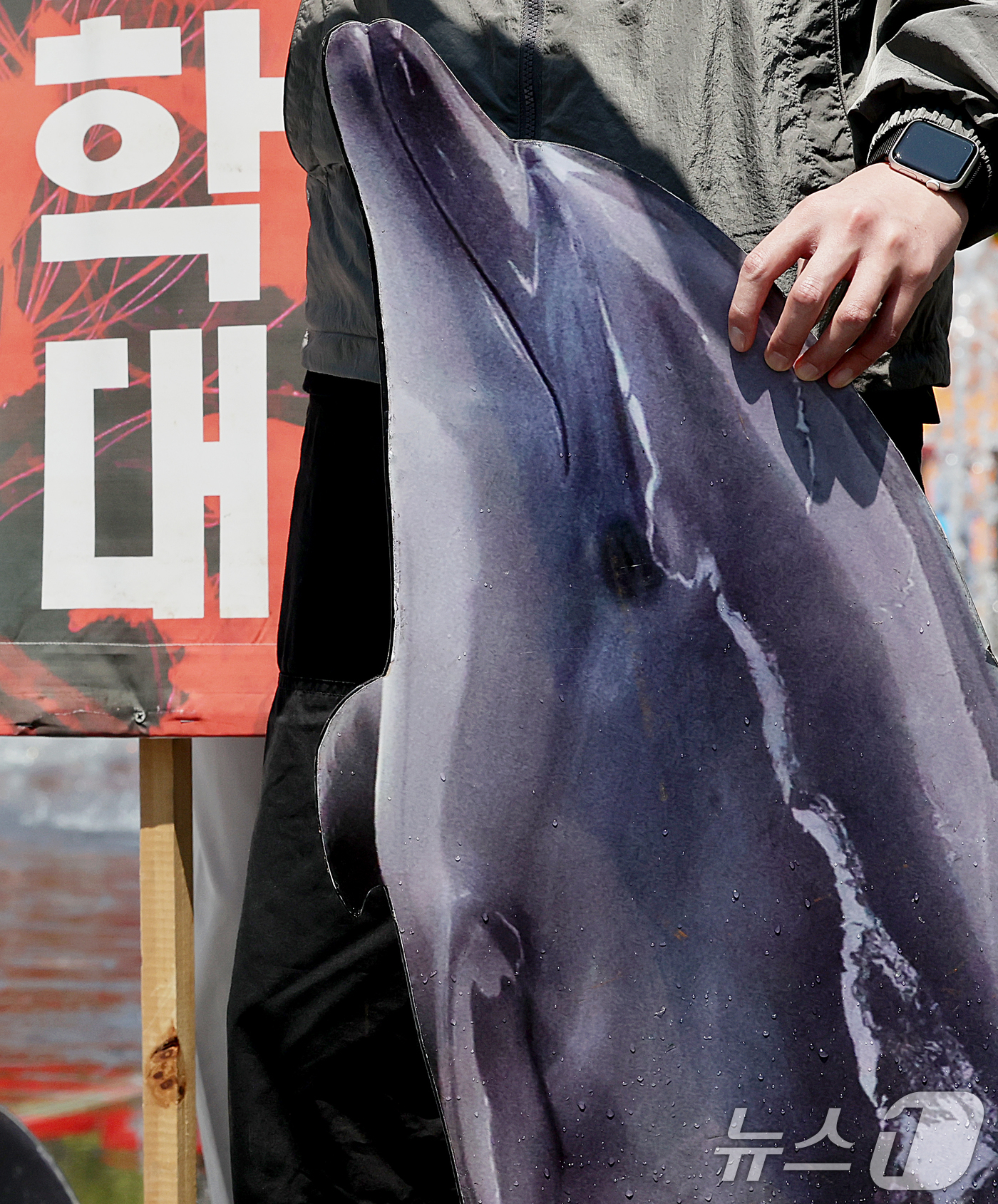 (서울=뉴스1) 조연우 인턴기자 = 30일 서울 종로구 광화문광장에서 환경보건시민센터 관계자들이 거제씨월드 돌고래 폐사를 규탄하며 ‘고래를 바다로 돌려보내라’는 기자회견을 하고 있 …