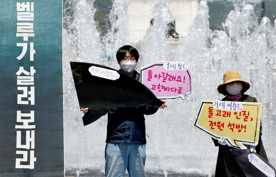 큰돌고래 '마크' 폐사...거제씨월드 규탄