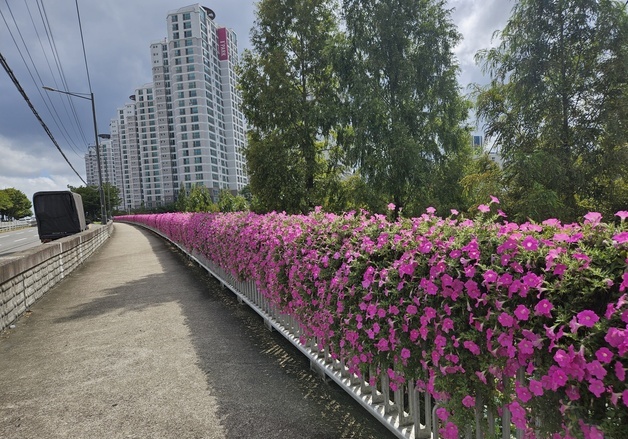 울산 중구, 교량 난간 꽃걸이 설치