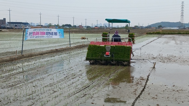 추석 전 '쌀 수확→마늘 경작'으로 농가 수익↑…농진청, 조생종 시연회