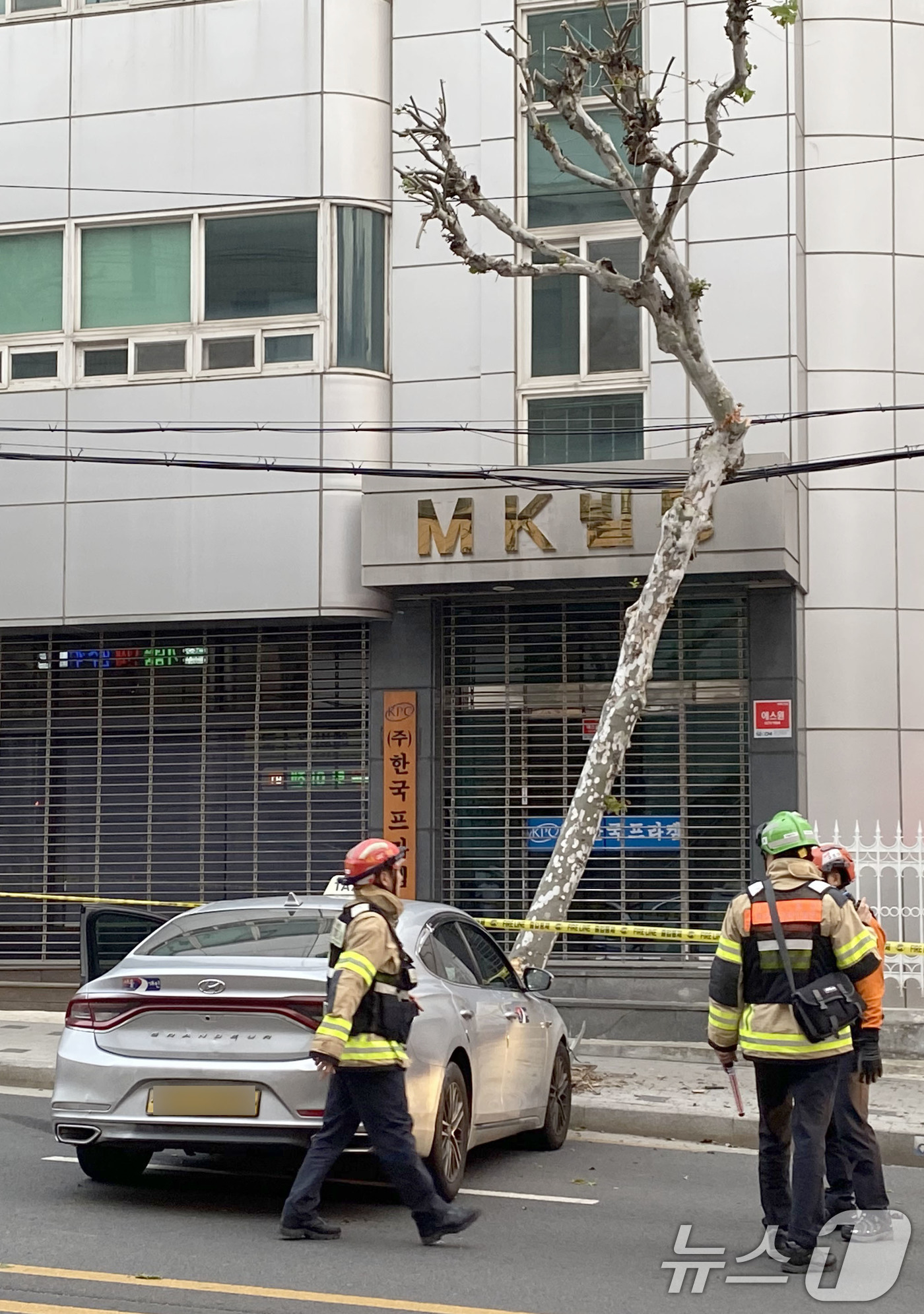(서울=뉴스1) = 30일 오후 서울 양천구 신월동 양강중학교 인근에서 택시가 가로수를 들이받는 사고가 발생해 소방대원들이 현장을 수습하고 있다. (독자 제공. 재판매 및 DB금지 …