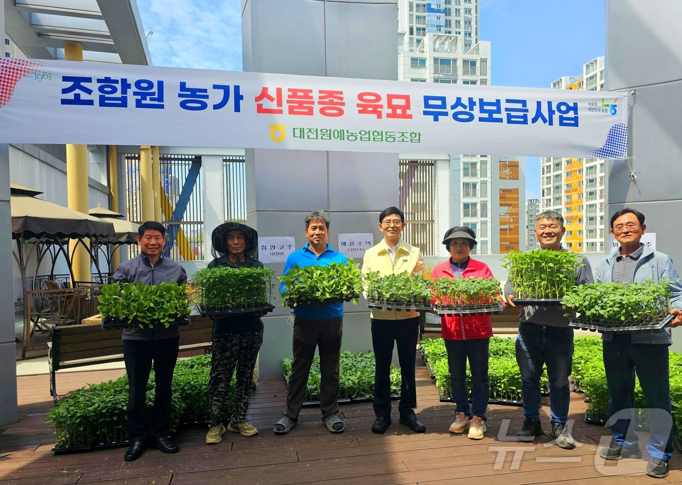 (대전=뉴스1) 이동원 기자 = 대전원예농협(조합장 이윤천)은 지난 29일 대흥동 본점 및 10여 사업장에서 지역 농업인들의 경영 부담 완화를 위한 신품종 육묘 무상보급사업을 동시 …