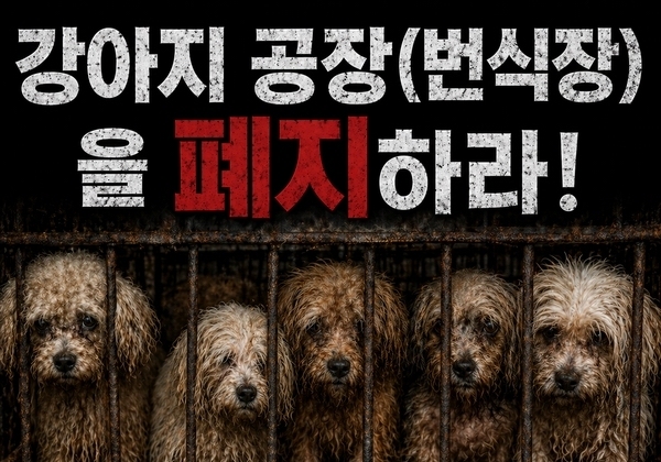 동물보호연합 "강아지공장, 번식장은 학대…폐지하라"