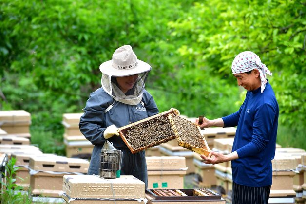 청주시, 복권기금 4000만원 투입 미원면에 밀원 숲 조성