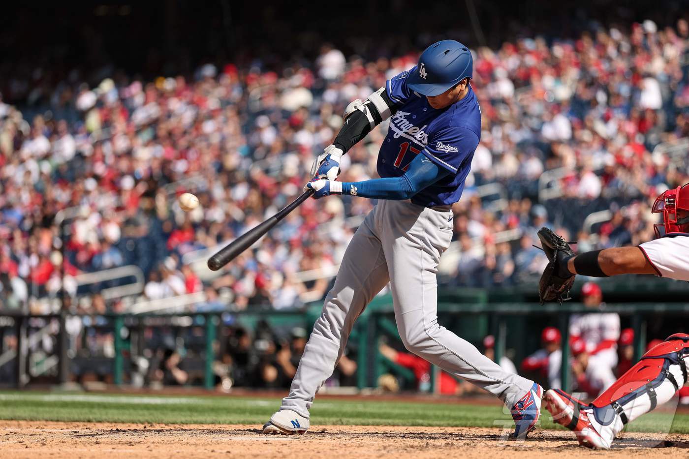 본문 이미지 - 오타니 쇼헤이. ⓒ AFP=뉴스1