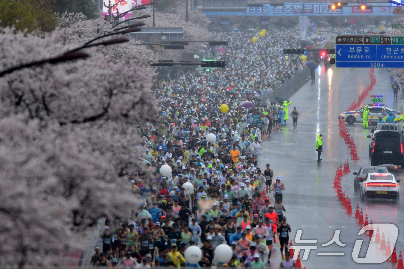 (경주=뉴스1) 최창호 기자 = 4일 경북 경주시 보문단지에서 열린 제33회 경주벚꽃미라톤 대회에서 참가자들이 출발 신호에 맞춰 힘차게 달리고 있다. 2026.4.4/뉴스1