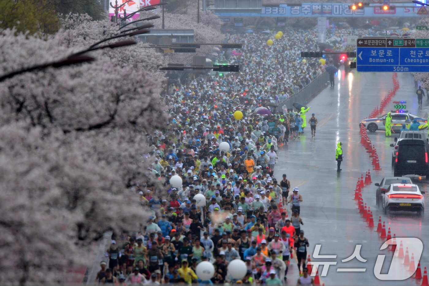 본문 이미지 - 4일 경북 경주시 보문단지에서 열린 제33회 경주벚꽃미라톤 대회에서 참가자들이 출발 신호에 맞춰 달려 나가고 있다. ⓒ 뉴스1 최창호 기자