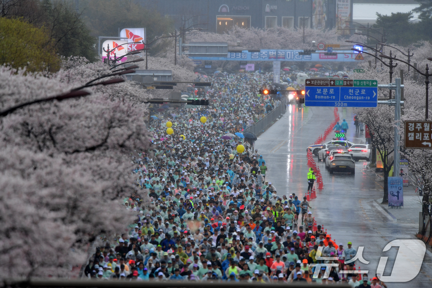 (경주=뉴스1) 최창호 기자 = 4일 경북 경주시 보문단지에서 열린 제33회 경주벚꽃미라톤 대회에서 참가자들이 출발 신호에 맞춰 힘차게 달리고 있다. 2026.4.4/뉴스1