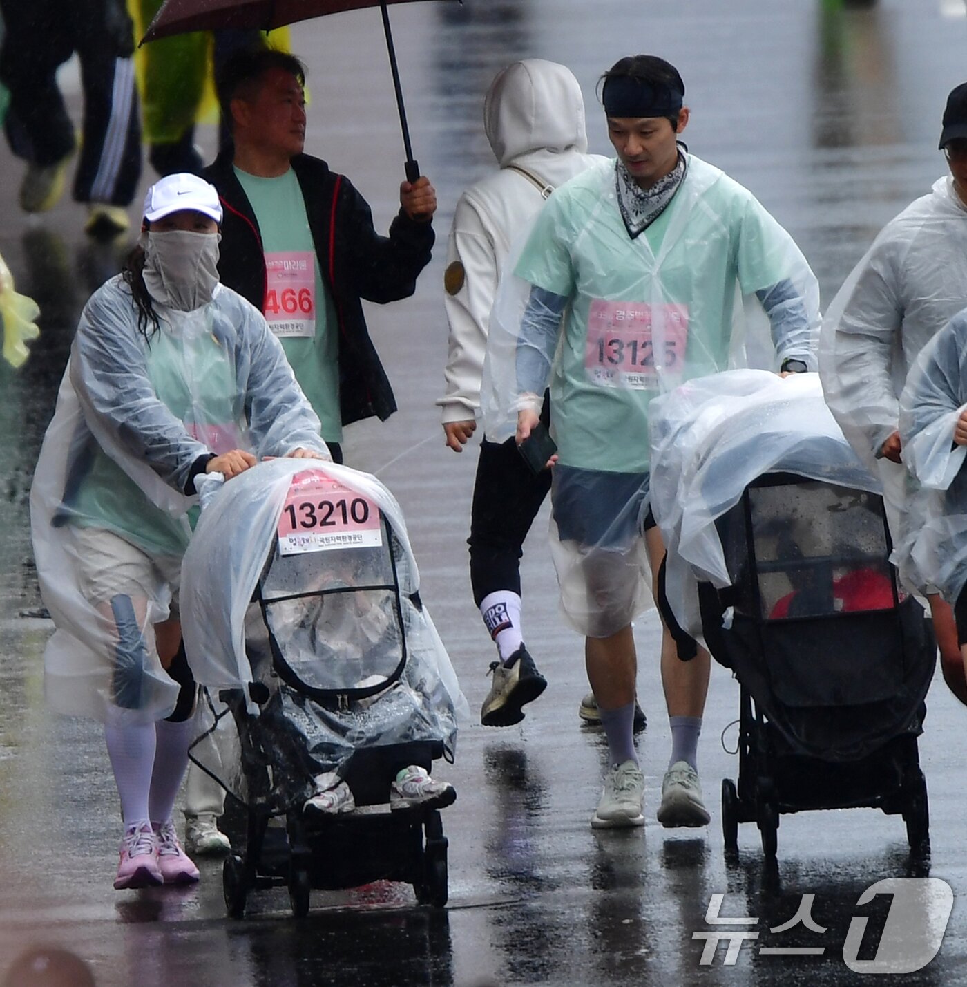 본문 이미지 - 4일 경북 경주시 보문단지에서 열린 제33회 경주벚꽃미라톤 대회에 참가한 가족이 유모차를 앞세워 달리고 있다. 2026.4.4 ⓒ 뉴스1 최창호 기자