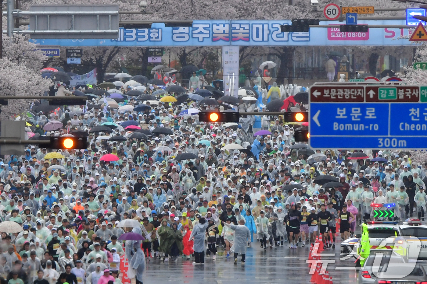 (경주=뉴스1) 최창호 기자 = 4일 경북 경주시 보문단지에서 열린 제33회 경주벚꽃미라톤 대회에서 참가자들이 출발 신호에 맞춰 힘차게 달리고 있다. 2026.4.4/뉴스1