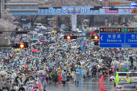 빗속 '벚꽃 러닝' 경주벚꽃마라톤 대회…"등수는 무관심, 즐기며 달려요"
