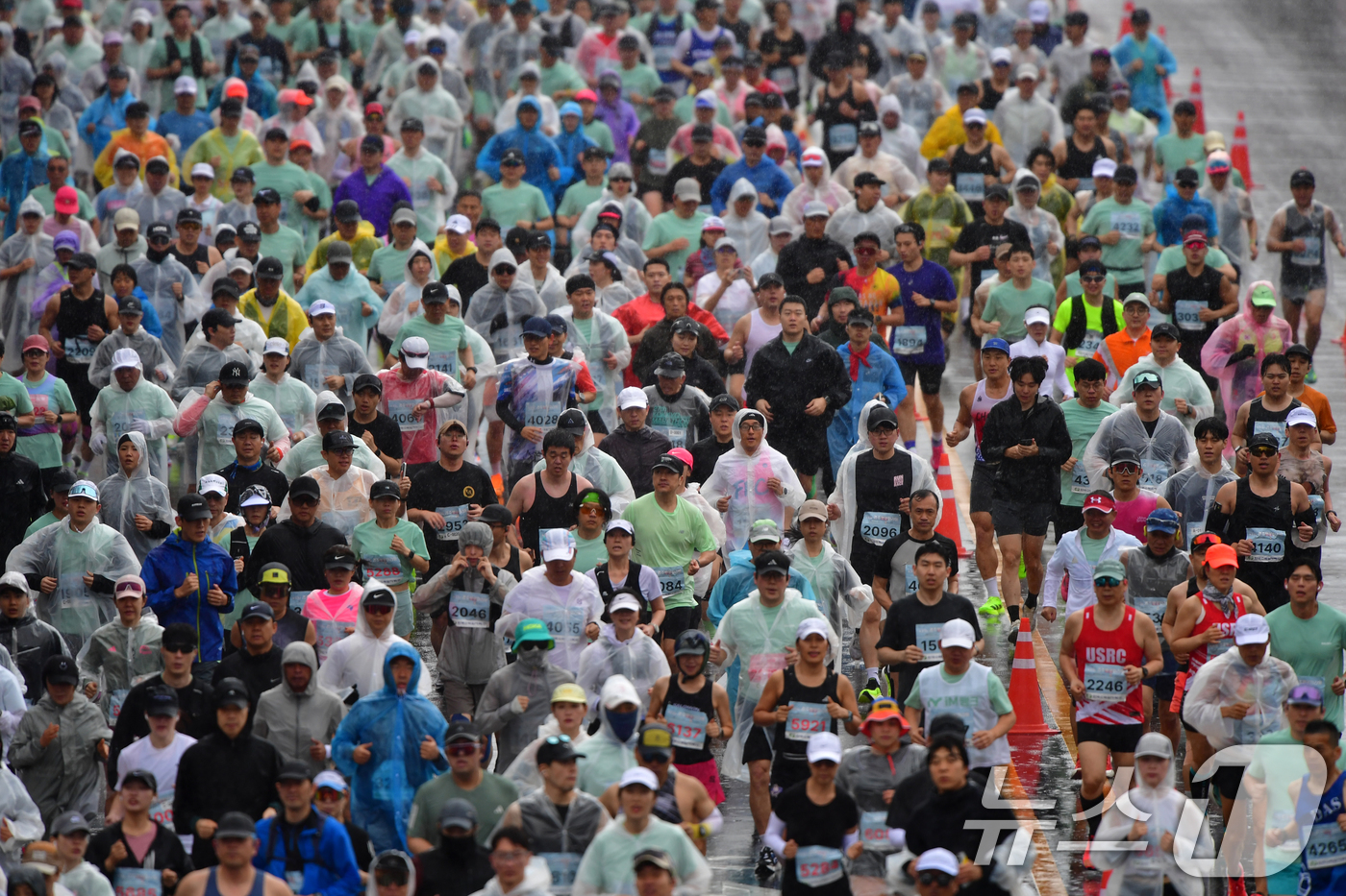 (경주=뉴스1) 최창호 기자 = 4일 경북 경주시 보문단지에서 열린 제33회 경주벚꽃미라톤 대회에서 참가자들이 출발 신호에 맞춰 힘차게 달리고 있다. 2026.4.4/뉴스1